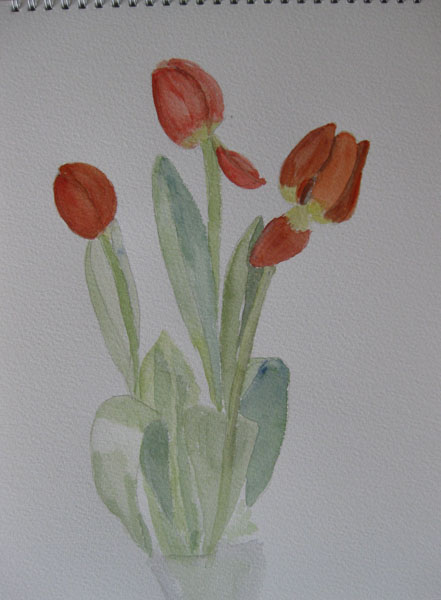 Edna's tulips